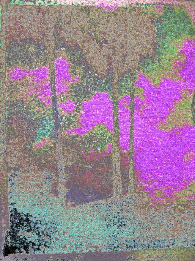 d224c-img_01172bcopy